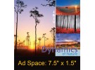 Desk Calendar DC19